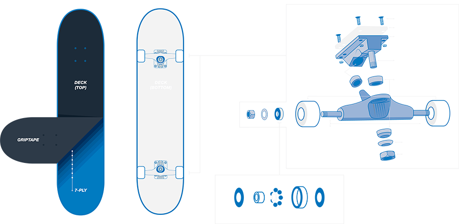 An exploded view of what components make up a skateboard
