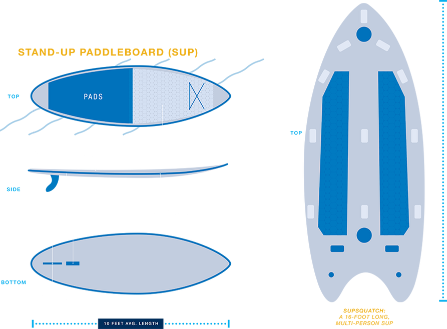 A diagram of a stand-up paddleboard